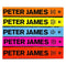 Roy Grace Series Books 6-10 Collection Set by Peter James (Set 2) (Dead Like You, Dead Man's Grip, Not Dead Yet, Dead Man's Time & Want You Dead)