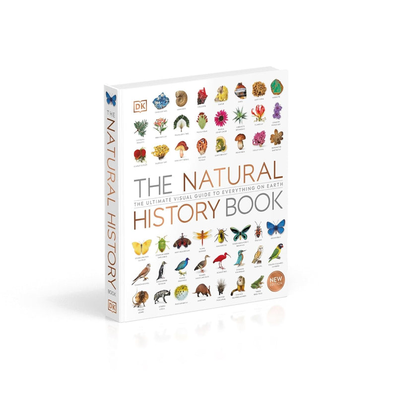 ["9780241393345", "archaeology books", "Books on Nature", "dk", "dk books", "dk books set", "dk collection", "Educational", "educational book", "educational books", "fossils", "Geography", "geography books", "geology", "Geology References", "minerals", "Natural history", "Nature", "Nature & Wildlife", "Nature Books", "nature education", "Plant Sciences", "rocks", "Rocks Minerals & Fossils"]