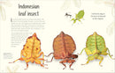 An Anthology of Remarkable Bugs: Discover the Hidden Wonders of the Insect World (DK Children's Anthologies)