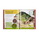 Children's Encyclopedia of Animals by Michael Leach | Visual Guide to the Animal Kingdom | Wildlife & Nature Reference Book for Kids