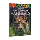 Children's Encyclopedia of Animals by Michael Leach | Visual Guide to the Animal Kingdom | Wildlife & Nature Reference Book for Kids