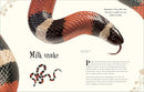 An Anthology of Intriguing Animals: Discover the Fascinating Truths of the Animal Kingdom (DK Children's Anthologies)