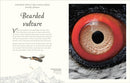 An Anthology of Exquisite Birds: Discover the Beauty of the Avian World (DK Children's Anthologies)