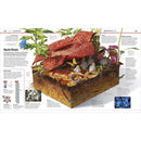 Knowledge Encyclopedia Science By DK