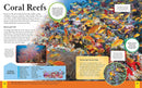 Children's Encyclopedia of Animals by Michael Leach | Visual Guide to the Animal Kingdom | Wildlife & Nature Reference Book for Kids