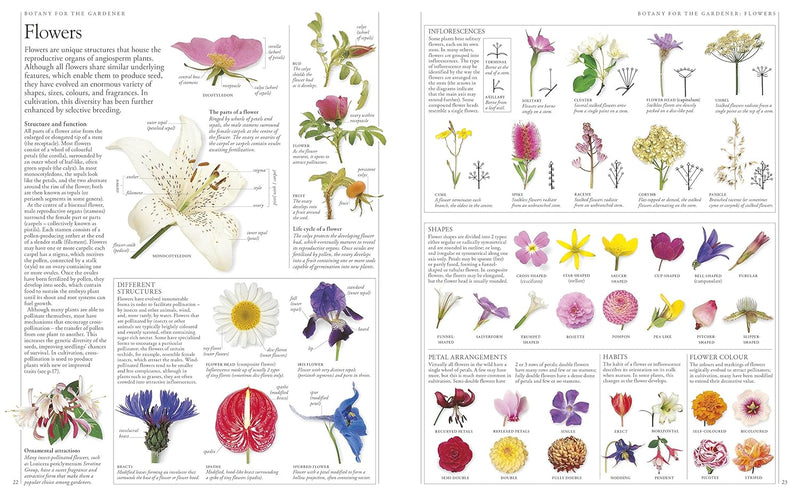 ["9780241239124", "Encyclopedia", "encyclopedia books", "Encyclopedias", "garden plants", "Gardening", "gardening book", "gardening books", "gardening encyclopedia", "Home and Garden", "home gardening books", "non fiction", "Non Fiction Book", "non fiction books", "non fiction text", "Plants", "Rhs", "rhs a-z of garden plants", "rhs garden plants"]