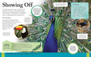 Children's Encyclopedia of Animals by Michael Leach | Visual Guide to the Animal Kingdom | Wildlife & Nature Reference Book for Kids