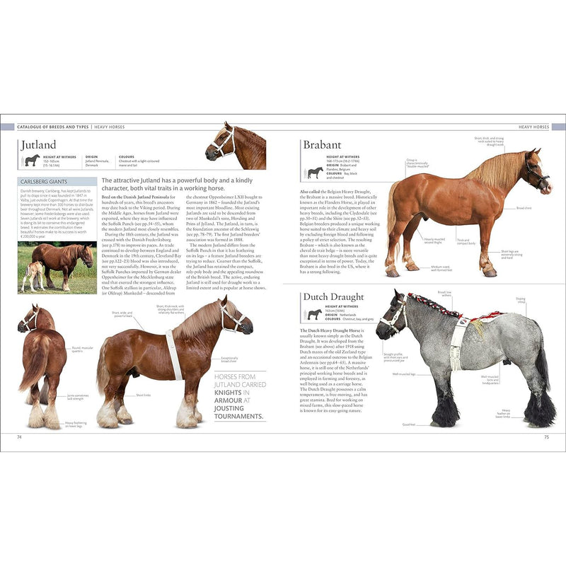 ["9780241632666", "Arachnids", "Books on horse", "DK Pet Encyclopedias", "Elwyn Hartley Edwards", "Equestrian & animal sports", "Hobby & Games Encyclopaedias", "Horse Encyclopedia", "Horses & ponies", "Insects (Books)", "Pet Encyclopedias", "ponies", "Sports", "The Horse Encyclopedia (DK Pet Encyclopedias)"]