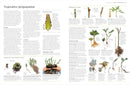 RHS Propagating Plants - How To Create New Plants For Free