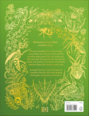 An Anthology of Remarkable Bugs: Discover the Hidden Wonders of the Insect World (DK Children's Anthologies)