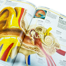 Knowledge Encyclopedia Human Body by DK