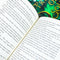 ["9780689779190", "alexandra christo", "alexandra christo book collection", "alexandra christo book collection set", "alexandra christo books", "alexandra christo collection", "alexandra christo series", "alexandra christo to kill a kingdom", "dark romantic YA fantasy", "dark young adults fantasy", "Fantasy Romance for Young Adults", "Pirates for Young Adults", "princess of souls", "Sarah J Maas", "TikTok made me buy it", "to kill a kingdom", "to kill a kingdom by alexandra christo", "To Kill a Kingdom: TikTok made me buy it!", "Values & Virtues for Young Adults"]