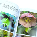 Dream Plants for the Natural Garden: Over 1,200 Beautiful and Reliable Plants for a Natural Garden