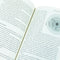 ["9781529038347", "achieving success", "Advice on careers", "best business books", "best practices", "business", "Business & management", "Business Book", "Business books", "Business Creativity Skills", "business leadership skills", "business life", "Business Life Book", "business life books", "business management books", "business motivation skills", "Business Negotiation Skills", "Job Hunting", "Job Hunting Books", "kim scott", "kim scott books", "kim scott radical candor", "leadership", "leadership skill improvement", "Management", "management and leadership skill", "motivation", "Radical Candor", "radical candor book", "radical candor ted talk", "Susan Scott", "work hunting"]