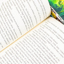 Robin Hood Series 4 Books Collection Set By Robert Muchamore (Piracy Paintballs & Zebras, Hacking Heists & Flaming Arrows, Jet Skis, Swamps Smuggler)