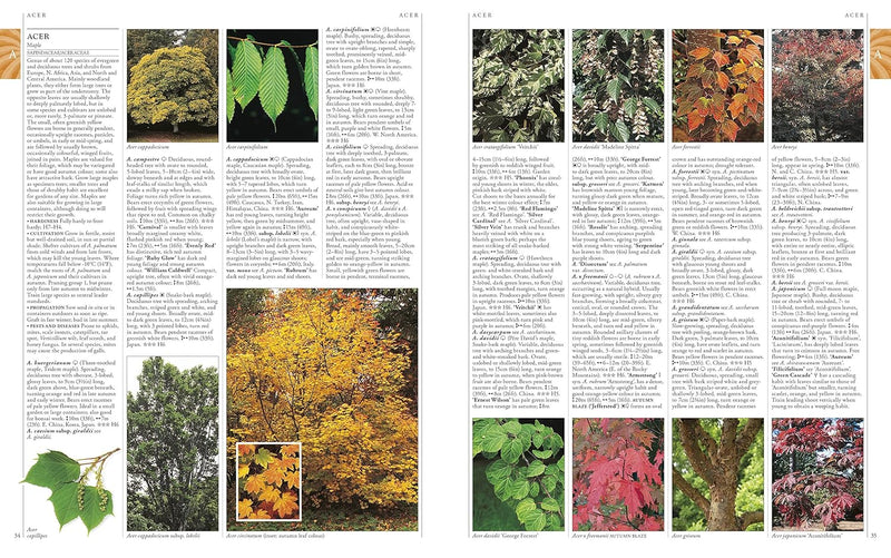 ["9780241239124", "Encyclopedia", "encyclopedia books", "Encyclopedias", "garden plants", "Gardening", "gardening book", "gardening books", "gardening encyclopedia", "Home and Garden", "home gardening books", "non fiction", "Non Fiction Book", "non fiction books", "non fiction text", "Plants", "Rhs", "rhs a-z of garden plants", "rhs garden plants"]