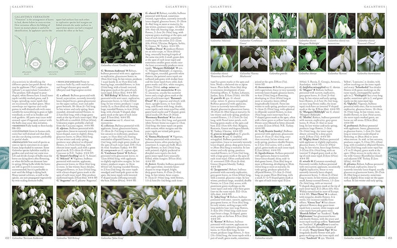 ["9780241239124", "Encyclopedia", "encyclopedia books", "Encyclopedias", "garden plants", "Gardening", "gardening book", "gardening books", "gardening encyclopedia", "Home and Garden", "home gardening books", "non fiction", "Non Fiction Book", "non fiction books", "non fiction text", "Plants", "Rhs", "rhs a-z of garden plants", "rhs garden plants"]