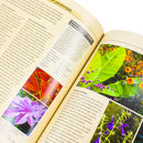Alan Titchmarsh How to Garden: Perennial Garden Plants