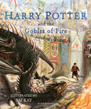 Harry Potter Illustrated 4 Books Set PAPERBACK (Harry Potter and The Chamber of Secrets, The Philosophers Stone, The Prisoner of Azkaban, Goblet of Fire)