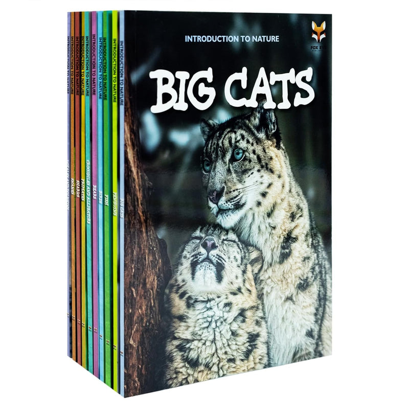 ["9781804452387", "animal books", "Animals", "animals books", "Bears", "Big Cats", "Birds", "children animal books", "children educational books", "childrens books", "Childrens Books (7-11)", "Childrens Educational", "childrens nature books", "Crocodile and Alligators", "educational book", "educational books", "educational resources", "Fish", "fox eye", "fox eye publishing", "introduction to", "introduction to series", "jasmine brooke", "jasmine brooke books", "jasmine brooke collection", "jasmine brooke set", "Nature", "nature education", "non fiction for children", "Penguins", "Primates", "Sharks", "Snakes", "Whales and Dolphins"]