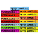 Roy Grace Series Book 1-15 Collection 15 Books Set By Peter James (Dead Simple, Looking Good Dead, Not Dead Enough, Dead Like You, Dead Man's Grip, Not Dead Yet, You Are Dead and More)