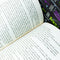 ["9780678456231", "bedlam", "childrens books", "dark days", "dead or alive", "death bringer", "derek landy", "derek landy book collection", "derek landy book collection set", "derek landy books", "derek landy collection", "kingdom of the wicked", "last stand of dead men", "list of skulduggery pleasant books", "midnight", "mortal coil", "playing with fire", "resurrection", "seasons of war", "skulduggery book", "skulduggery pleasant book collection", "skulduggery pleasant book collection set", "skulduggery pleasant book series", "skulduggery pleasant book set", "skulduggery pleasant books", "skulduggery pleasant box set", "skulduggery pleasant collection", "skulduggery pleasant derek landy", "skulduggery pleasant series", "skulduggery series", "the dying of the light", "the faceless ones"]