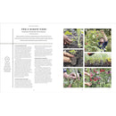 The Vegetable Grower's Handbook: Unearth Your Garden's Full Potential by Huw Richards