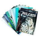 Introduction to Nature for Beginners 10 Books Collection Set – Bears, Sharks & Educational Nature Collection