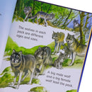 Usborne Beginners Animals Collection 10 Books Box Set - HARDCOVER