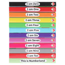 A Case of Numberblocks - 12 Mini Board Book Collection Carry Case, Ideal for Holidays and Early Learning and Preschool Ages!