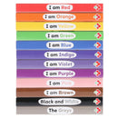Colourblocks 12 Mini Books Box Set – I Am Red, Blue, Yellow & More Early Learning Colours Collection