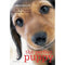 The Perfect Puppy: Take Britain's Number One Puppy Care Book With You by Gwen Bailey