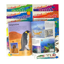 Dk Findout Series With Fun Facts And Amazing Pictures 10 Books Collection Set