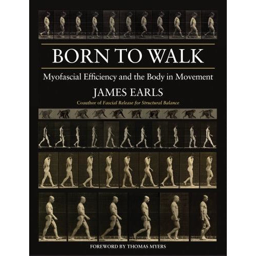 Born To Walk - Myofascial Efficiency And The Body In Movement - books 4 people